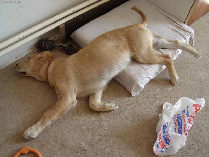 Foto: Takhle spím já a Ty?