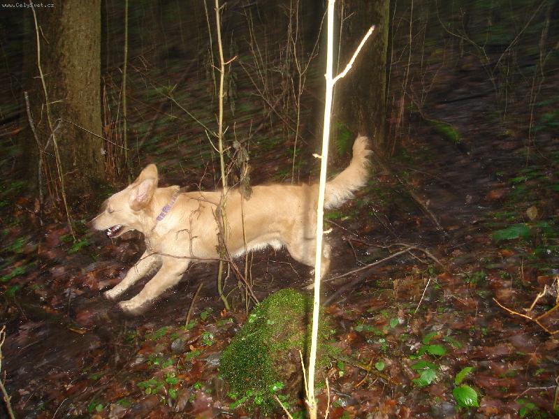 Foto: Ať žijou potůčky a kaluže