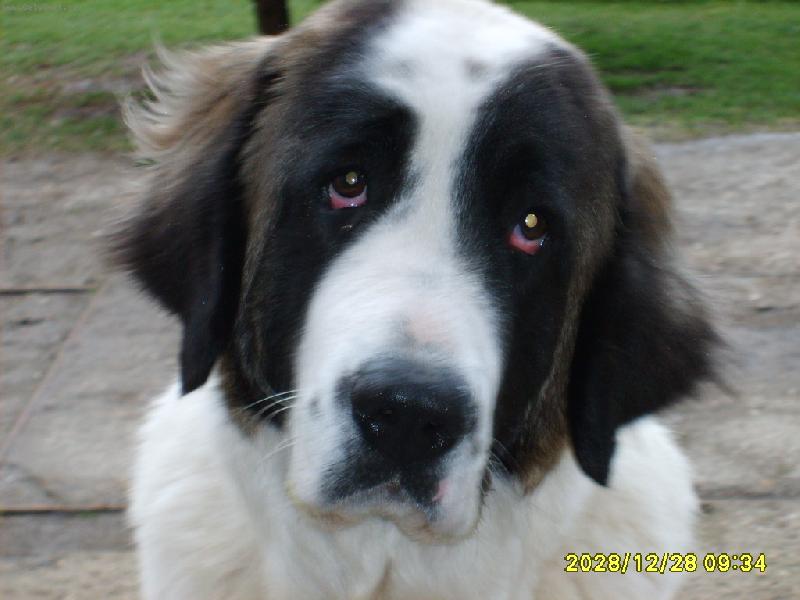 Foto: Bekynka-No nejsem krásná?!