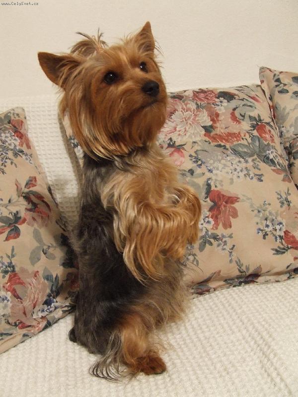 Foto: Panáčkuju!!!!.....