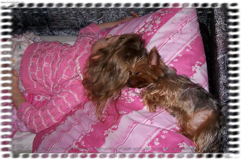 Foto: Kristýnka a Delinka