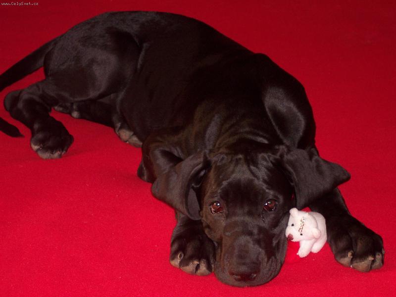 Foto: To je žůžo!!!