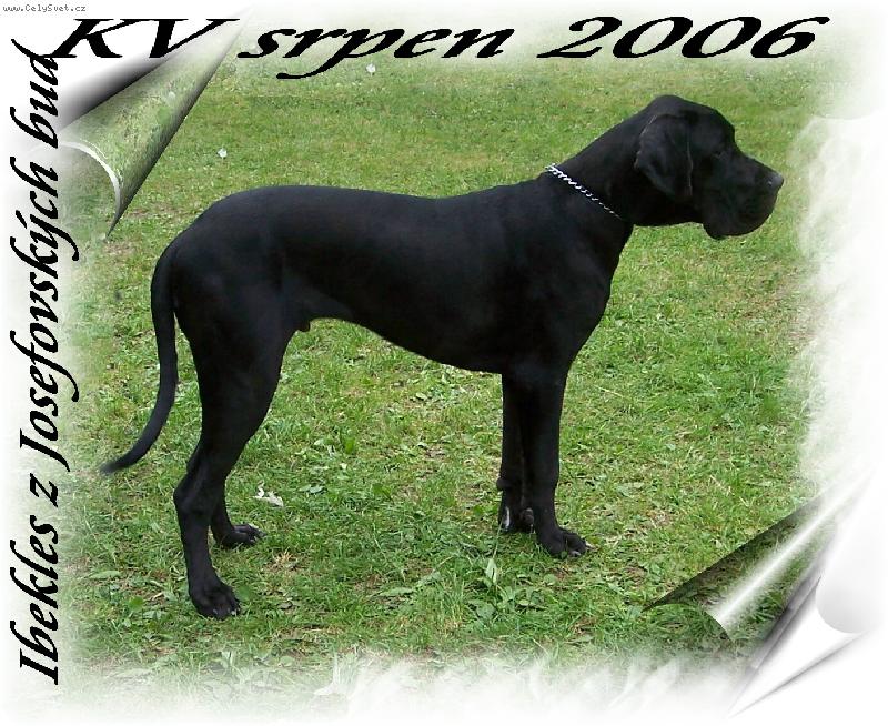 Foto: Ibekles z Josefovských bud