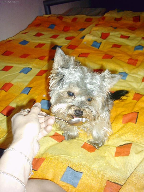 Foto: mnam z ty lzicky se mi papa lip