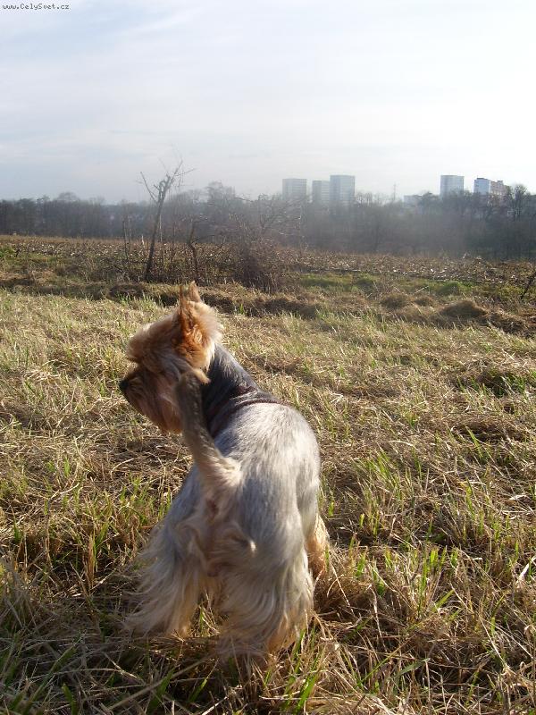 Foto: koukám........