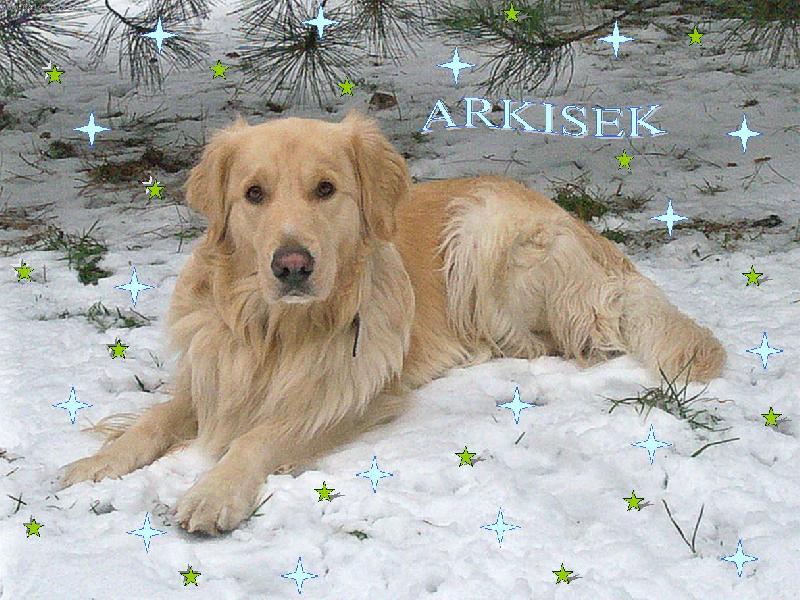 Foto: Arki-menší úprava, líbí?