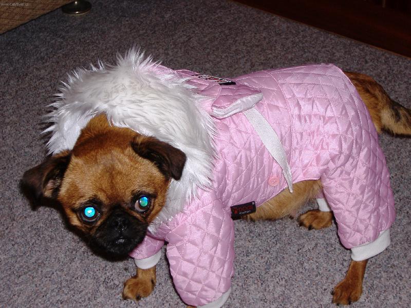 Foto: eskymáček-zimní obleček naší Dorotky