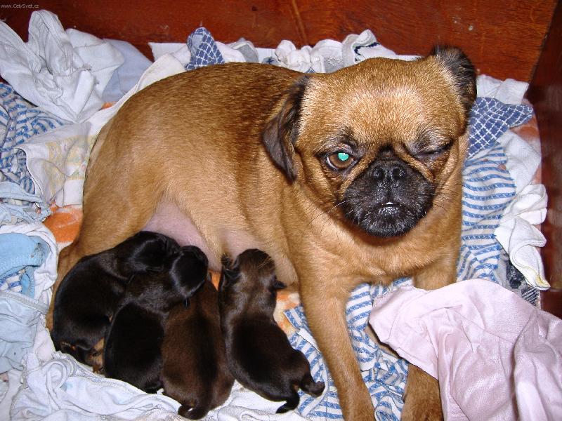 Foto: Mrk-Fo to, mrkám!