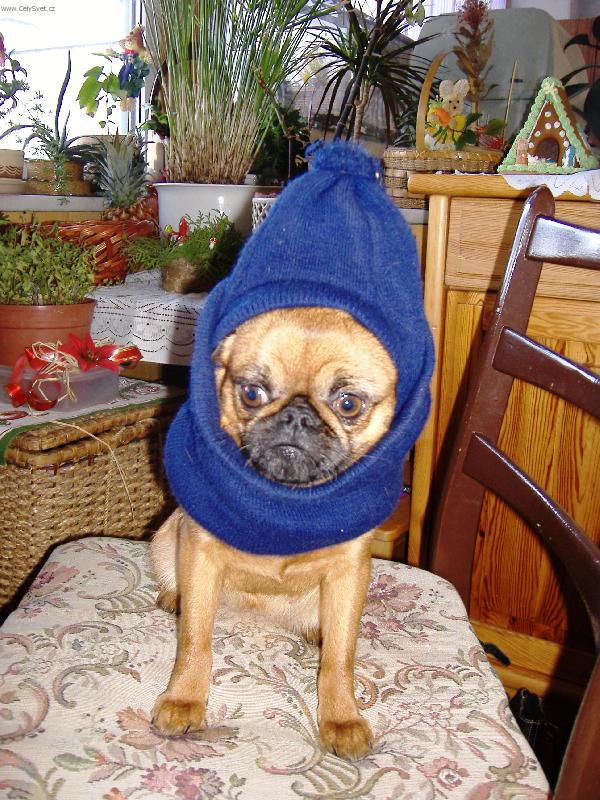 Foto: Dorotka v čepici-zachraňte mě !!!!