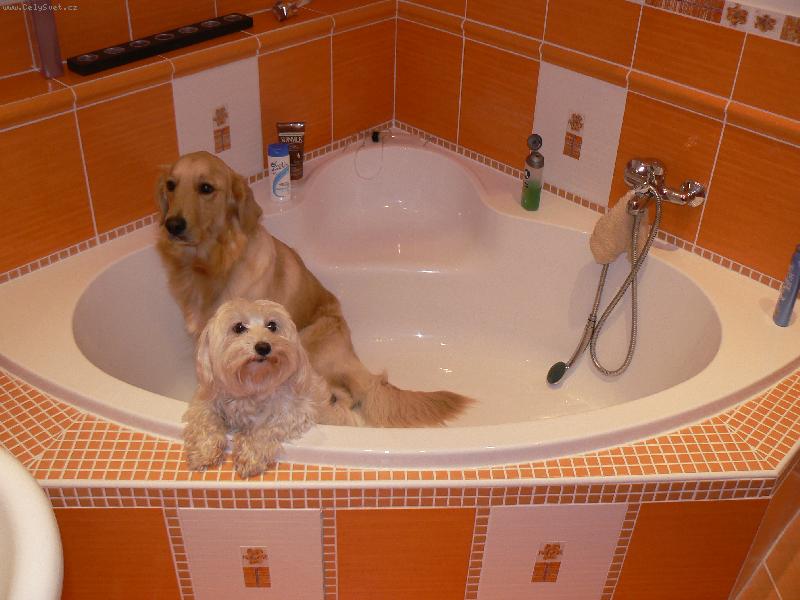 Foto: koupací maniaci :-))