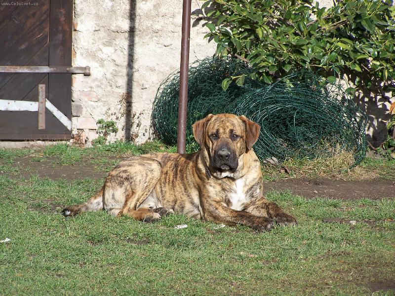 Foto: Fidel-Hlídám zuby nehty