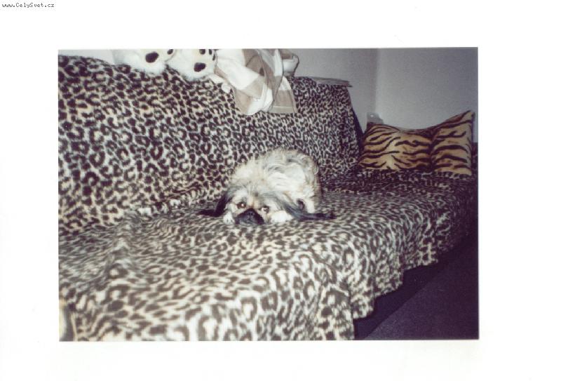 Foto: Nela-Co se děje ???