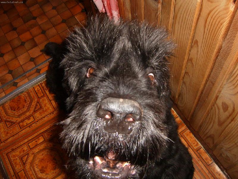 Foto: Aron-Děti znají Barbuchu z večerníčku my ji máme doma :)