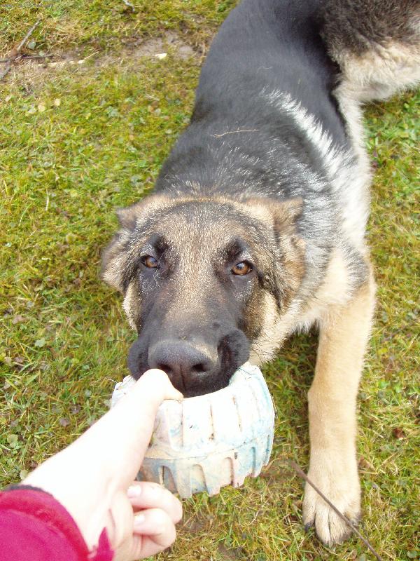 Foto: Já to nepustím! A co ty?