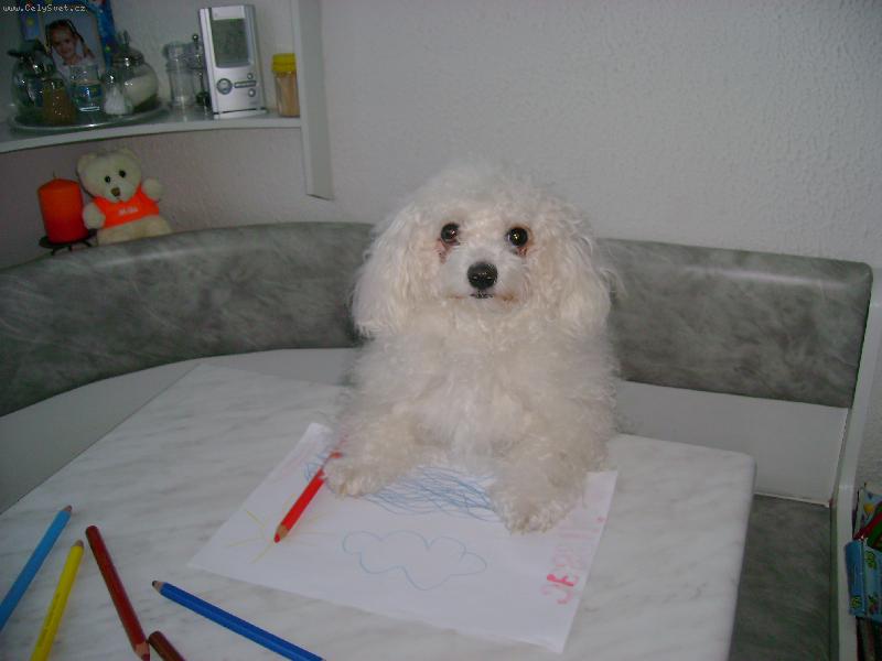 Foto: moje malířské umění