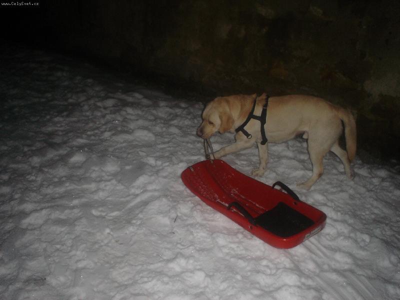 Foto: Já ten sníh prostě miluju