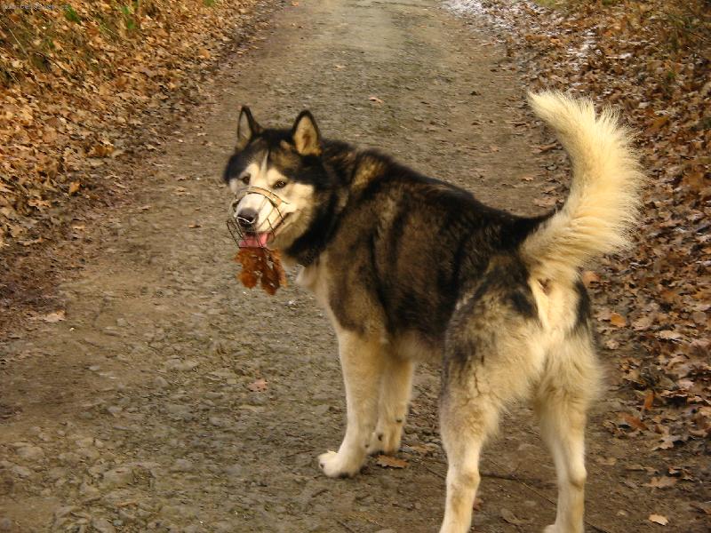 Foto: Jé..hele..list se mi přilepil na jazyk...:)