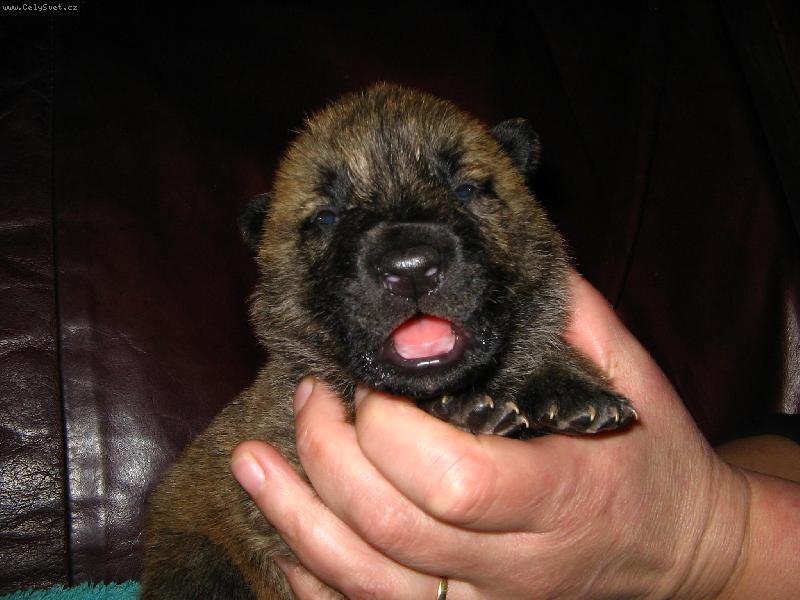 Foto: Dášenka-Mám hlad...