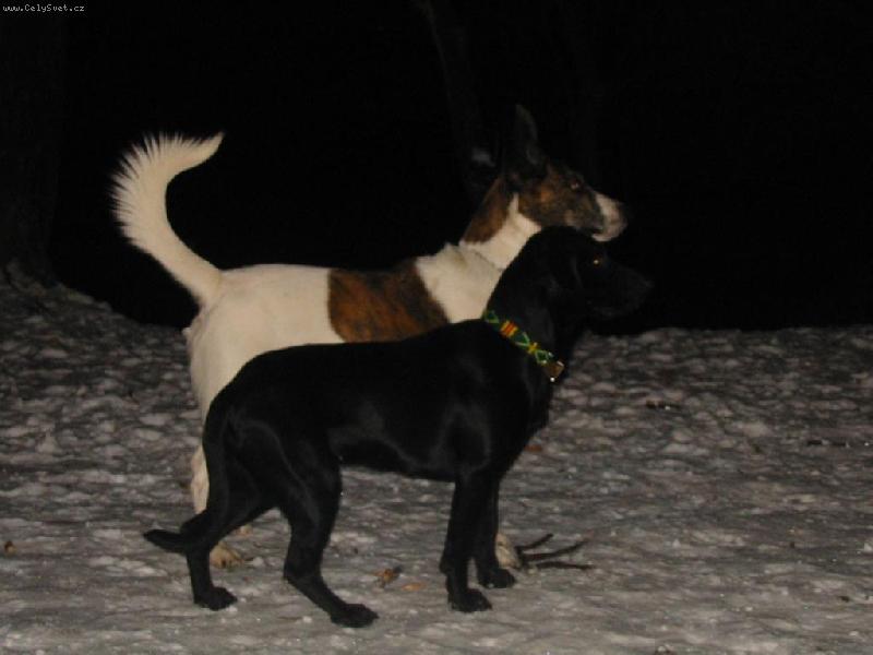 Foto: Sena a Buňa-manželé