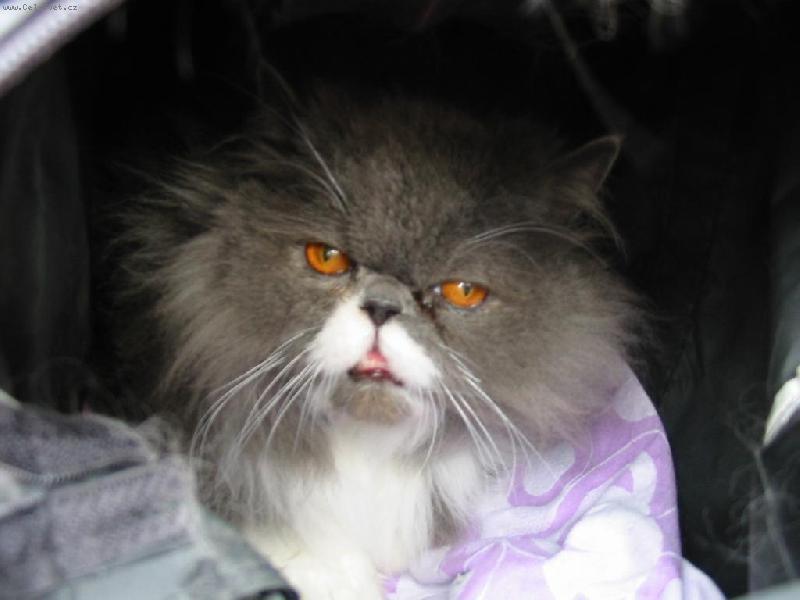 Foto: bohuš-náš bohuše