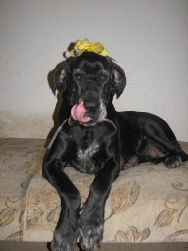 Foto: Oslava 5 narozenin-to byla, ale dobrota