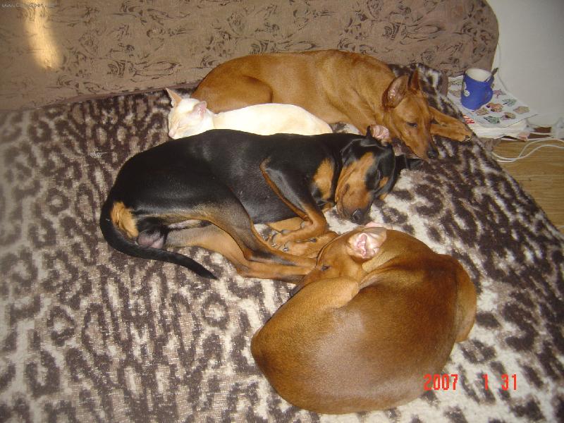 Foto: Prostě jen taková POHODICKA