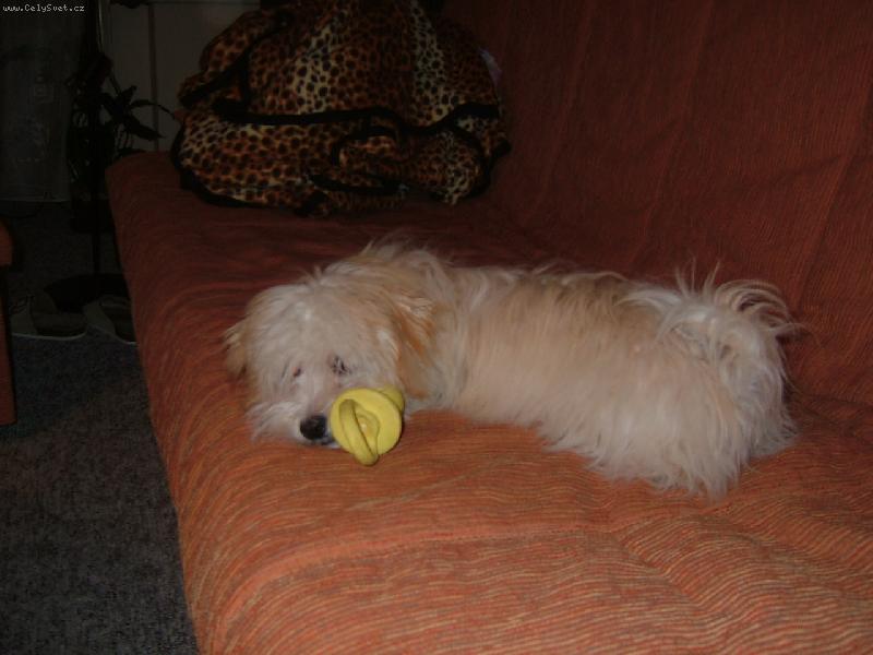 Foto: tak jsem hodná