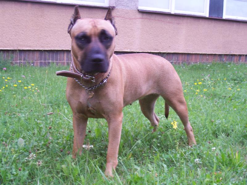 Foto: frajerka-jsem kočka,vid?