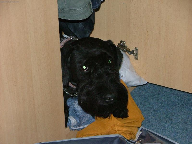 Foto: akimek-k tomu neni co dodat bojim bojim