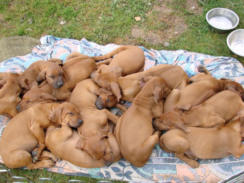 Foto: Hlavně aby bylo teploučko :-)