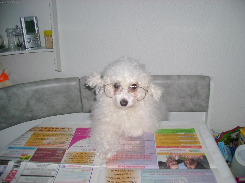 Foto: čtu si noviny