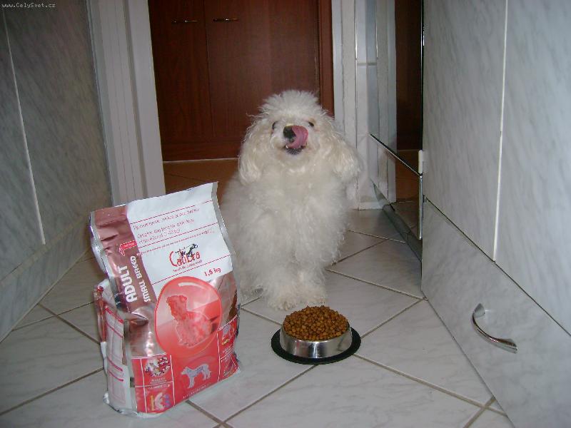 Foto: mám ráda svoje granulky