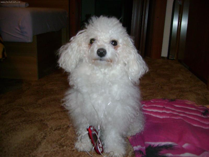 Foto: mám MP3 přehrávač