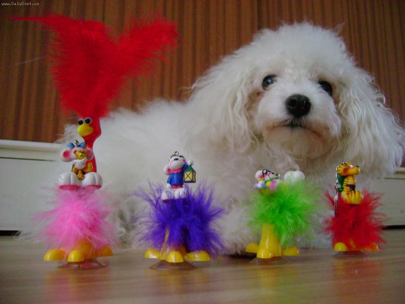 Foto: kamarádi - neživý