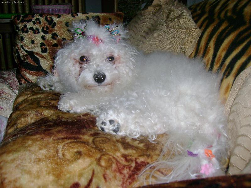 Foto: jsem načesaná