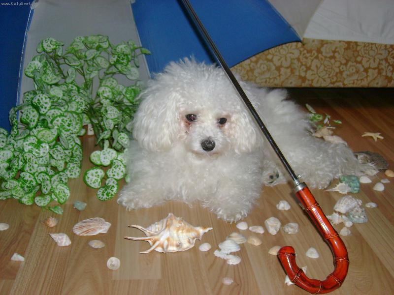 Foto: jako na pláži