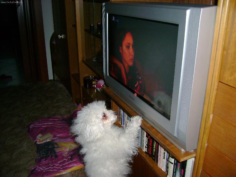 Foto: dívám se na televizi