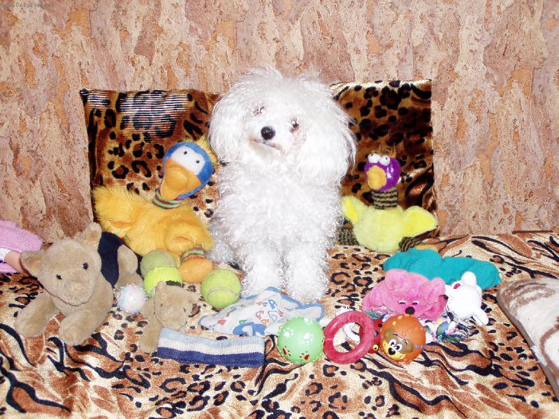 Foto: moje bohatství