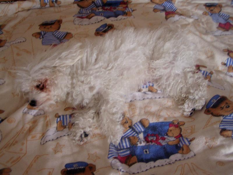 Foto: něžně spinkám