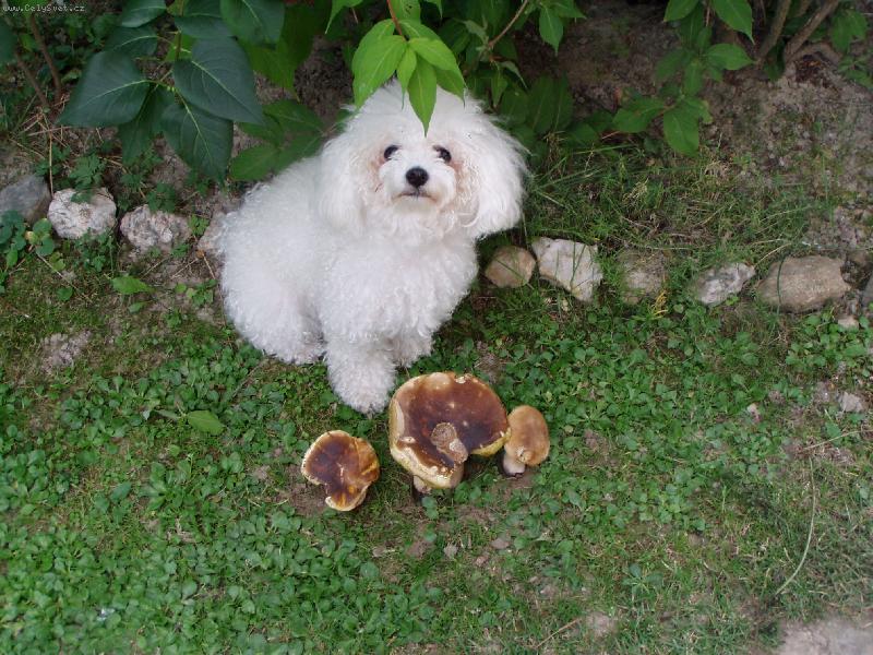 Foto: Jessinka s praváky