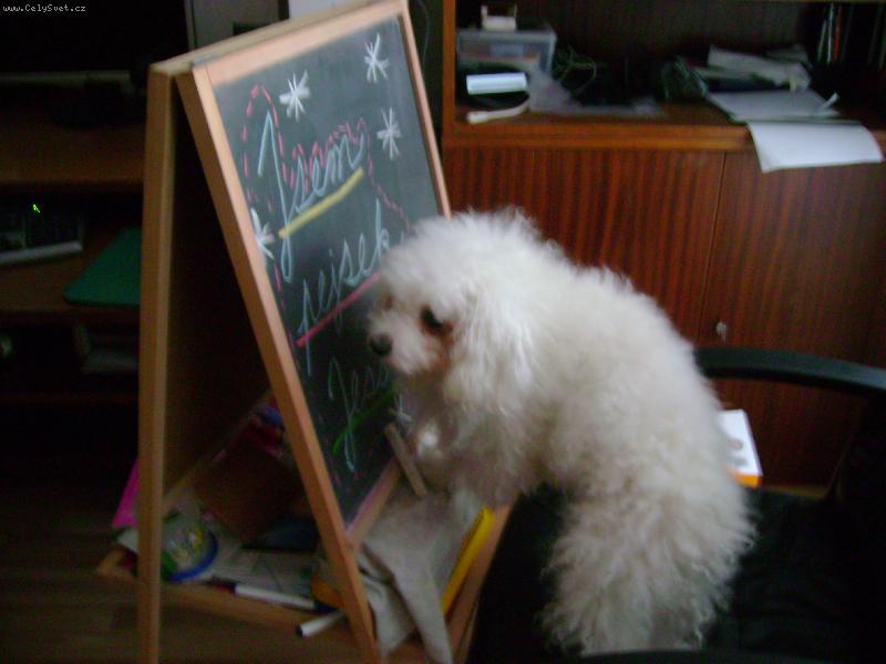 Foto: píšu na tabuli