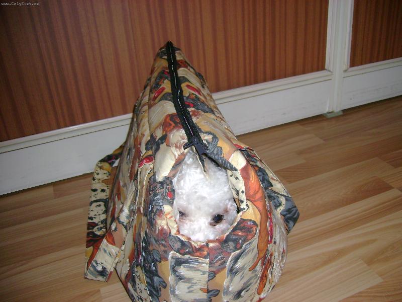 Foto: v přenosné tašce