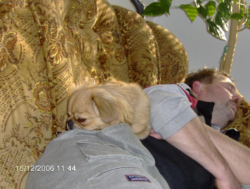 Foto: Tak to sa ale dobre spí-Maše domáce lásky maju obednajší spánok