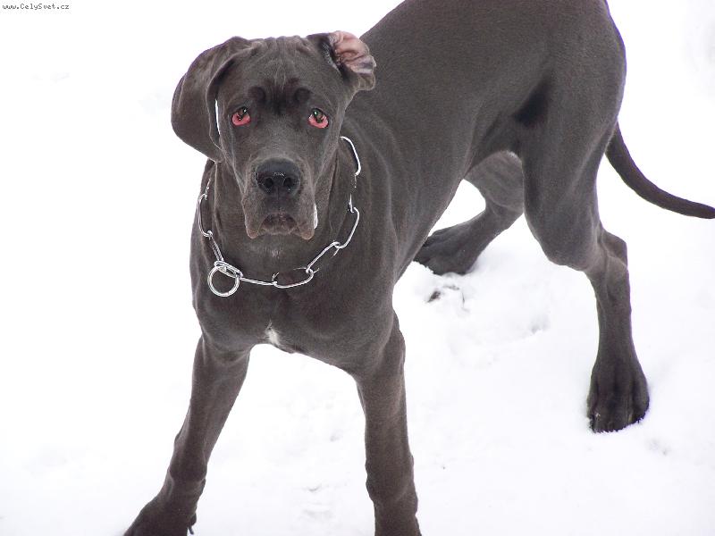 Foto: kuk-bez komentáře