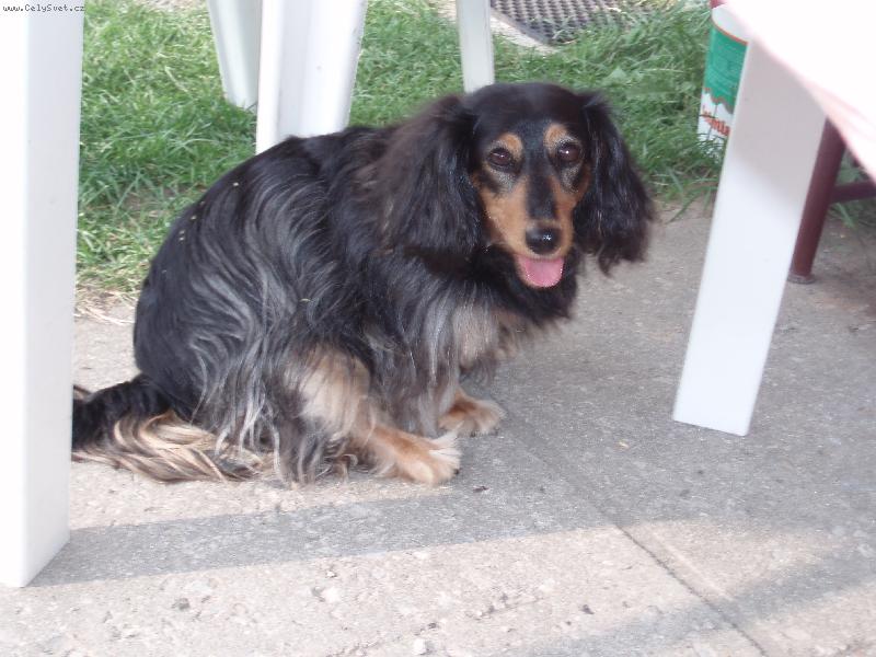 Foto: Právě jsem doběhla