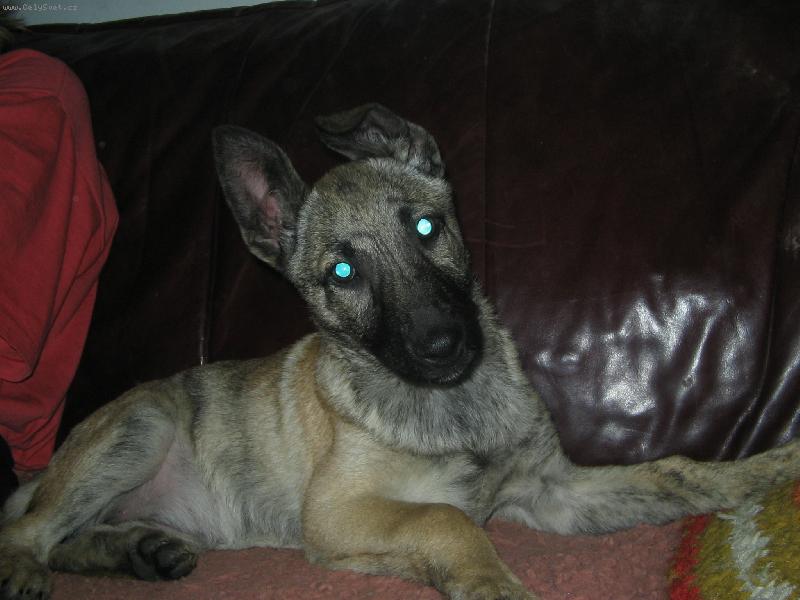 Foto: Co to děláš???-Carmenka