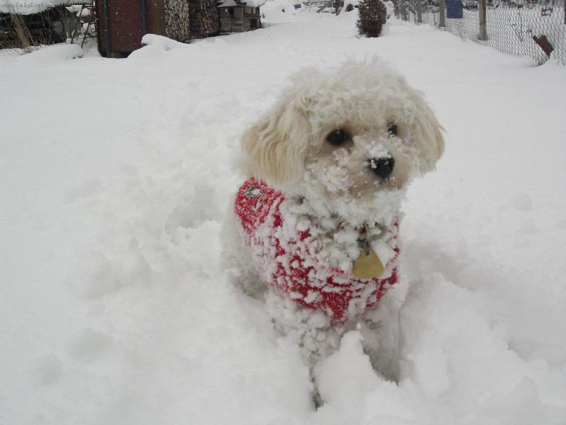 Foto: konečně zima