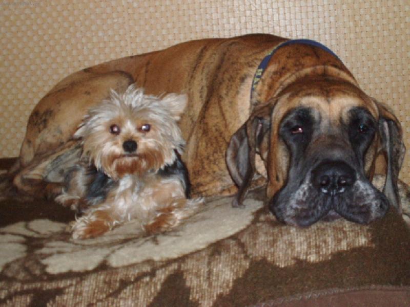 Foto: kamarádky-Na velikosti nezáleží