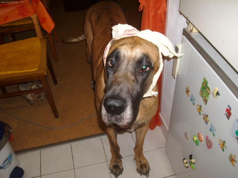 Foto: Pro� to nem�m sly�et?