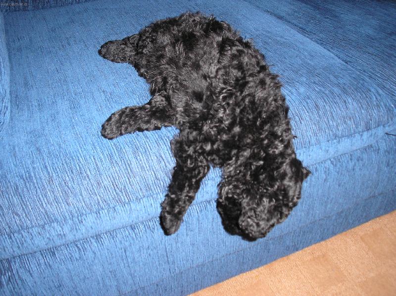 Foto: to je ta správná poloha-snad mě ta hlava nezpadne